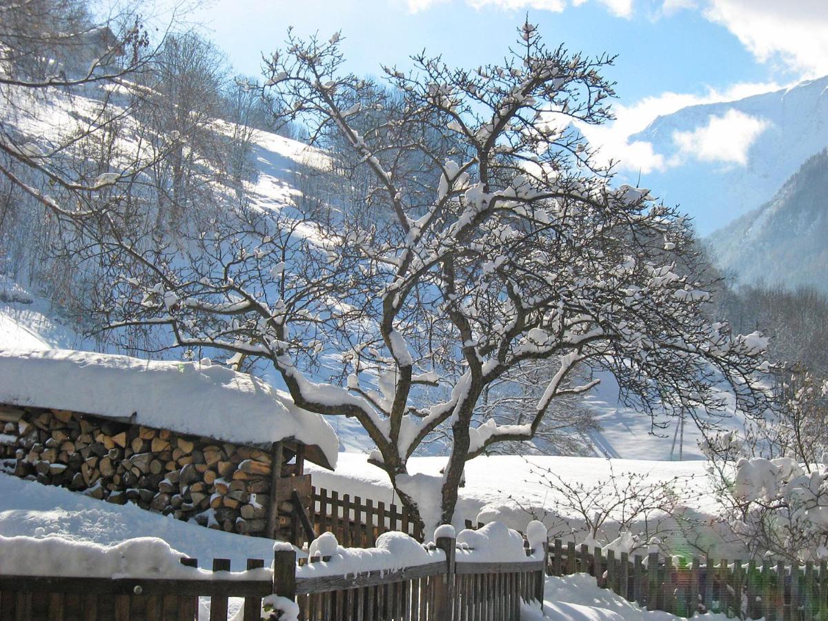 Superb Savoyard Traditional Chalet Located 500 M From The Slopes Peisey-Nancroix Exterior photo